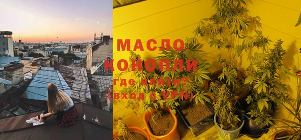 молекула духа Верхний Тагил