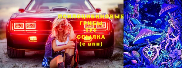 молекула духа Верхний Тагил